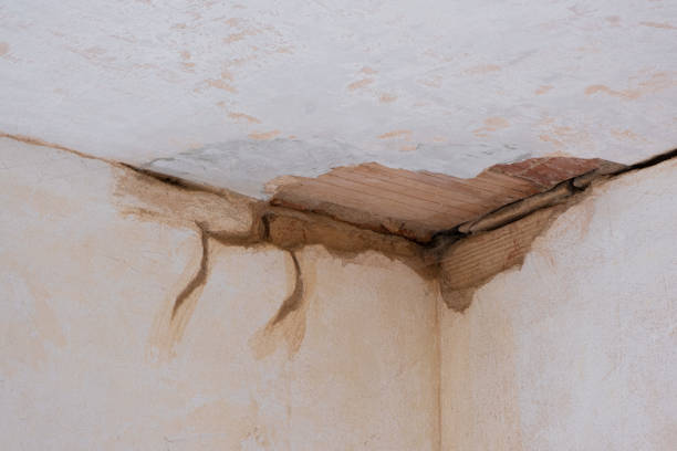 Best Mold removal after water damage  in Pella, IA